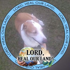 Meet your Posher, Frances